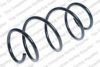 ROC CS7964 Coil Spring